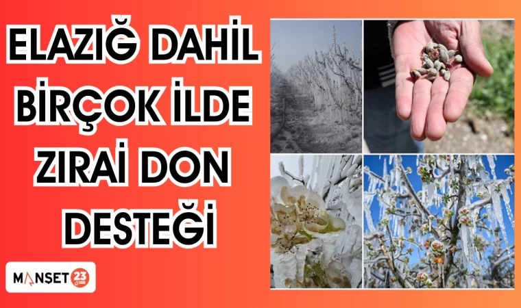 Elazığ dahil birçok ilde zirai don desteği
