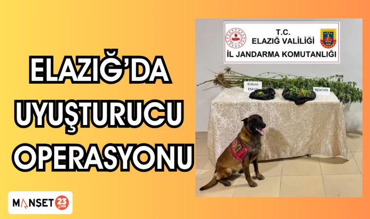 ELAZIĞ'DA UYUŞTURUCU OPERASYONU