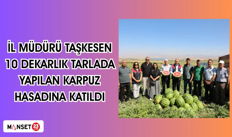 İl Müdürü Taşkesen 10 dekarlık tarlada yapılan karpuz hasadına katıldı