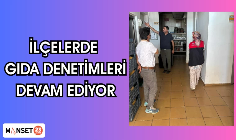 İlçelerde gıda denetimleri devam ediyor
