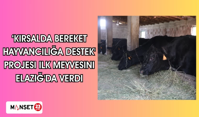 ‘Kırsalda Bereket Hayvancılığa Destek' projesi ilk meyvesini Elazığ'da verdi