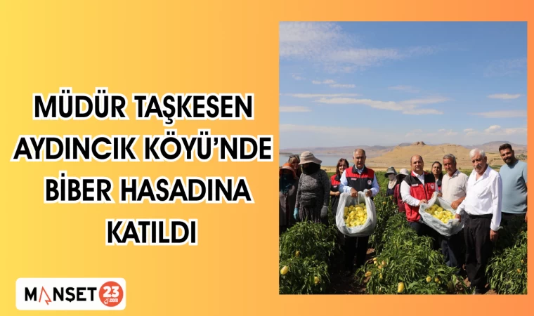 MÜDÜR TAŞKESEN AYDINCIK KÖYÜ'NDE BİBER HASADINA KATILDI
