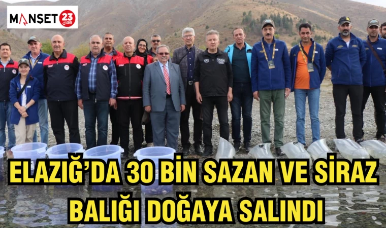 ELAZIĞ’DA 30 BİN SAZAN VE SİRAZ BALIĞI DOĞAYA SALINDI