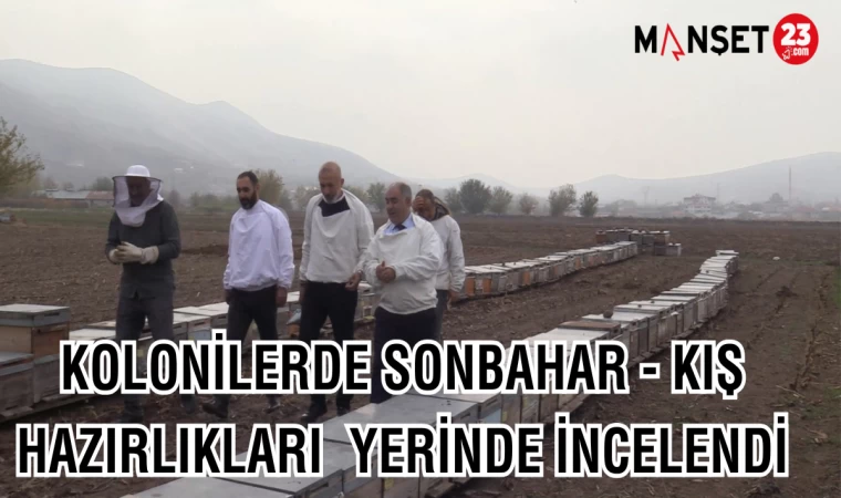 KOLONİLERDE SONBAHAR - KIŞ HAZIRLIKLARI YERİNDE İNCELENDİ