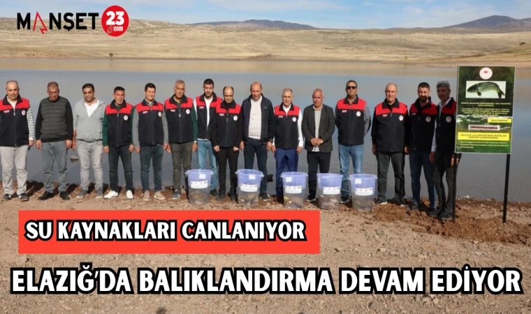 SU KAYNAKLARI CANLANIYOR, ELAZIĞ'DA BALIKLANDIRMA DEVAM EDİYOR
