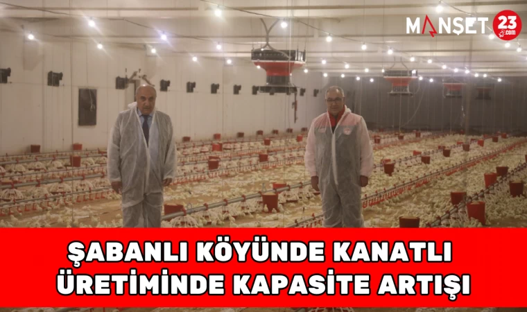 Şabanlı köyünde Kanatlı Üretiminde Kapasite Artışı
