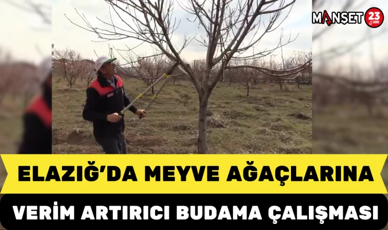 Elazığ’da Meyve Ağaçlarına Verim Artırıcı Budama Çalışması
