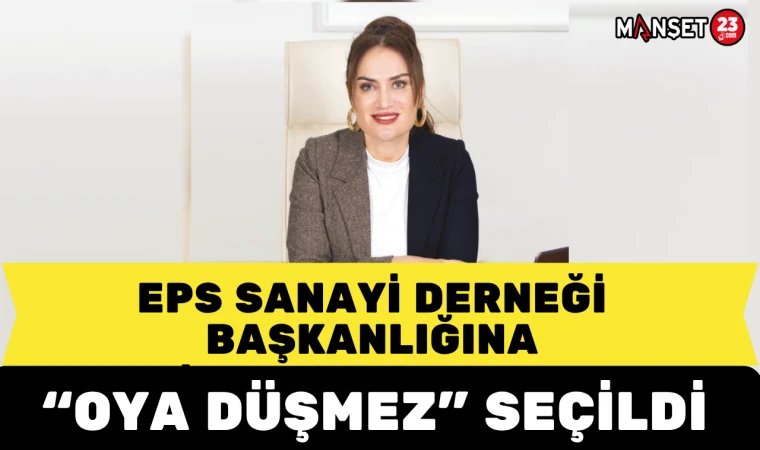EPS Sanayi Derneği Başkanlığına Oya Düşmez Seçildi