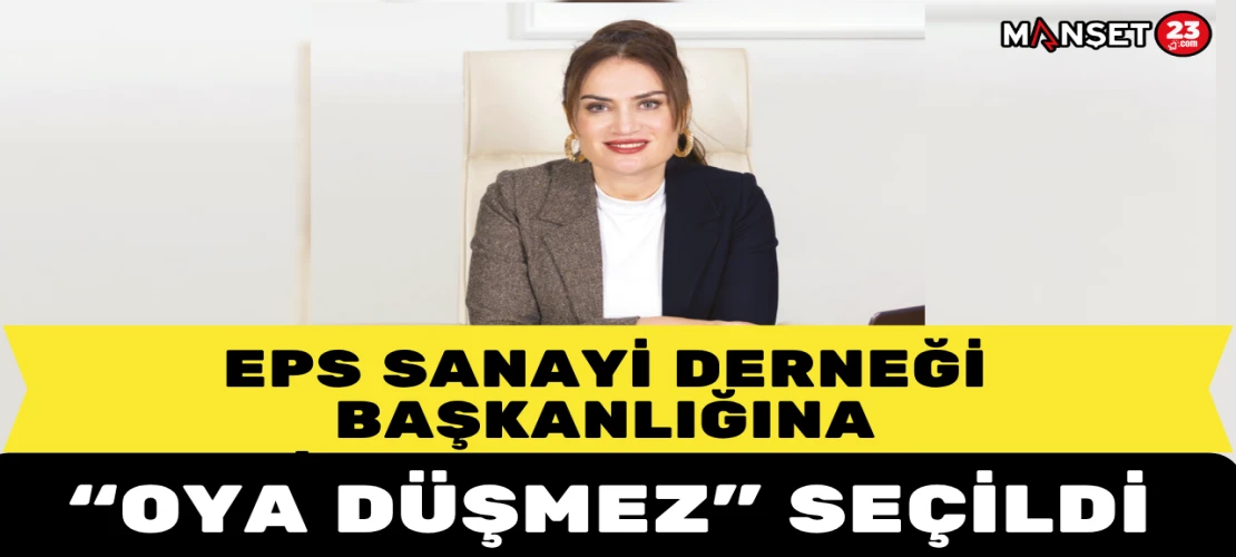 EPS Sanayi Derneği Başkanlığına Oya Düşmez Seçildi