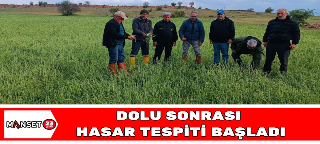 Dolu Sonrası Hasar Tespiti Başladı