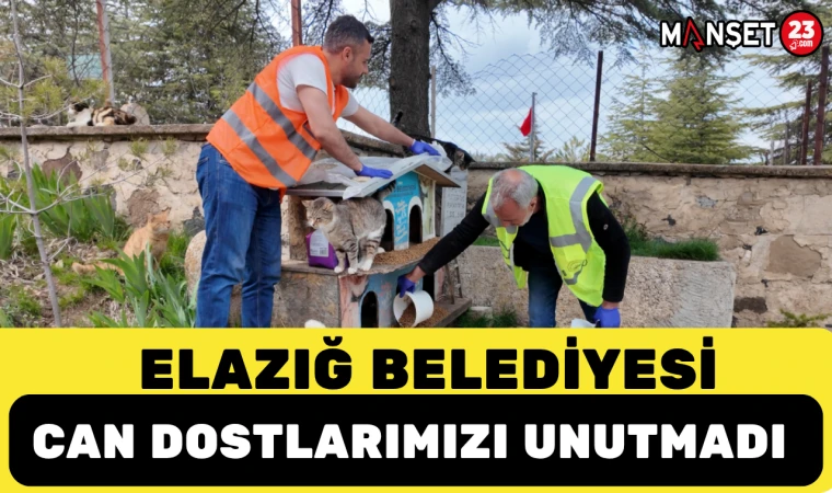 ELAZIĞ BELEDİYESİ CAN DOSTLARIMIZI UNUTMADI