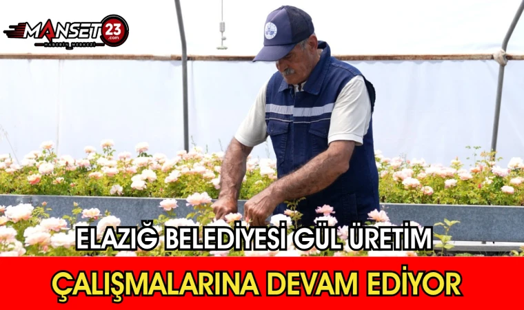 Elazığ Belediyesi Gül Üretim Çalışmalarına Devam Ediyor