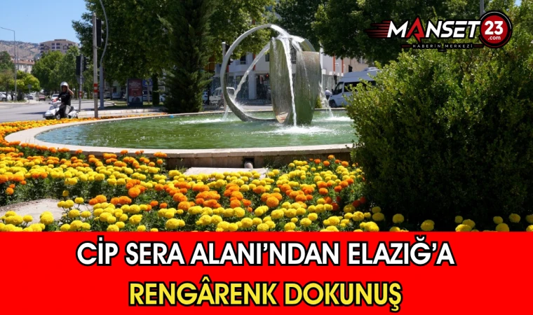 Cip Sera Alanı’ndan Elazığ’a Rengârenk Dokunuş
