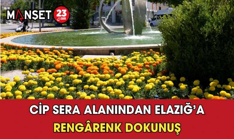 Cip Sera Alanından Elazığ’a Rengârenk Dokunuş