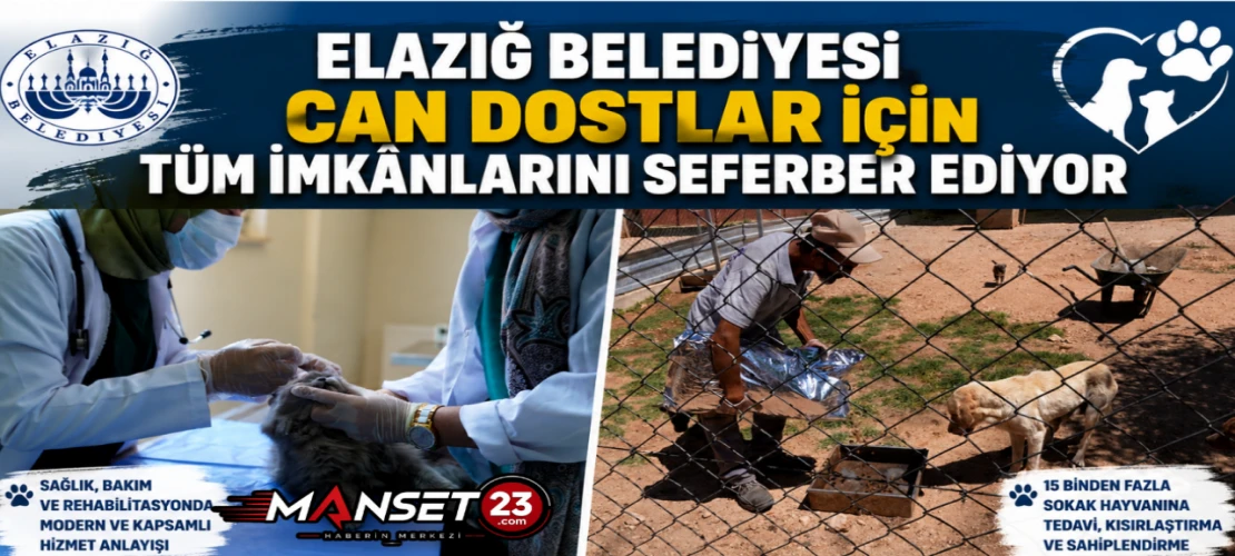 Elazığ Belediyesi, Can Dostlar İçin Tüm İmkânlarını Seferber Ediyor