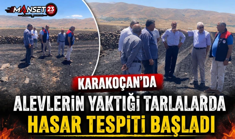 Karakoçan’da Alevlerin Yaktığı Tarlalarda Hasar Tespiti Başladı