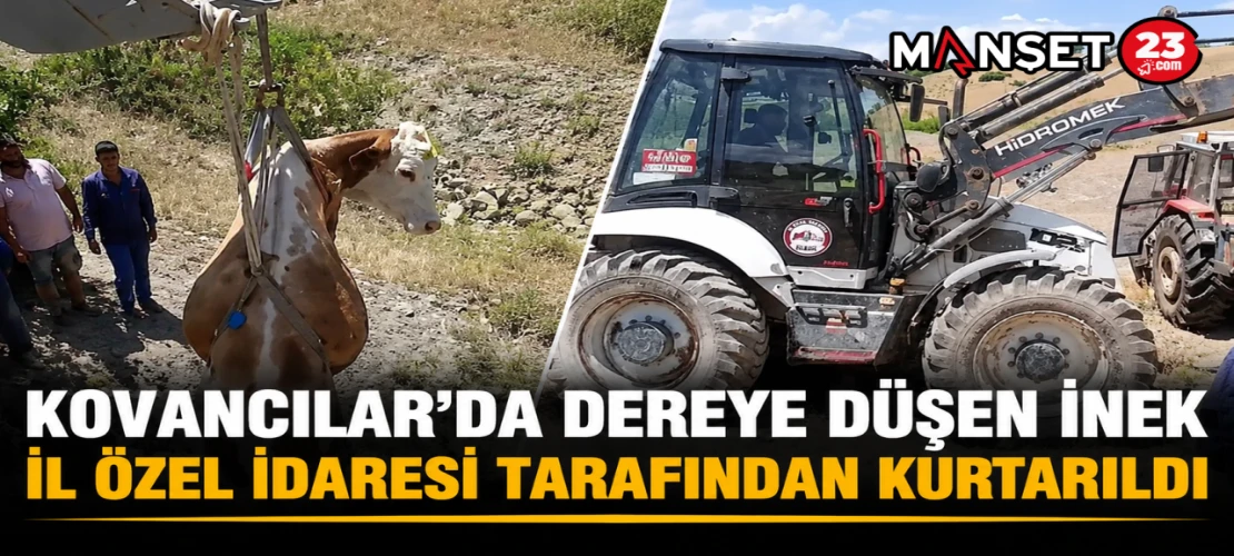 Kovancılar’da Dereye Düşen İnek İl Özel İdaresi Tarafından Kurtarıldı