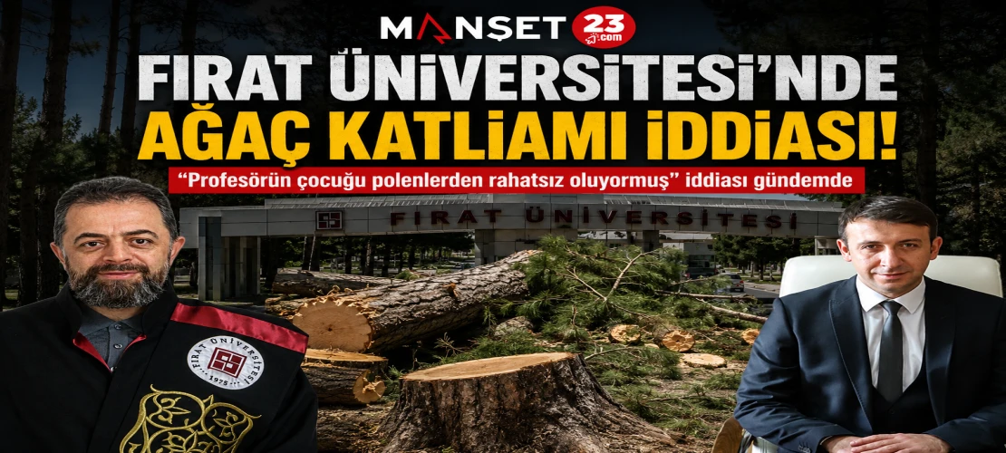 Fırat Üniversitesi’nde “Ağaç Katliamı” İddiası: Çam Ağaçları Neden Kesildi?