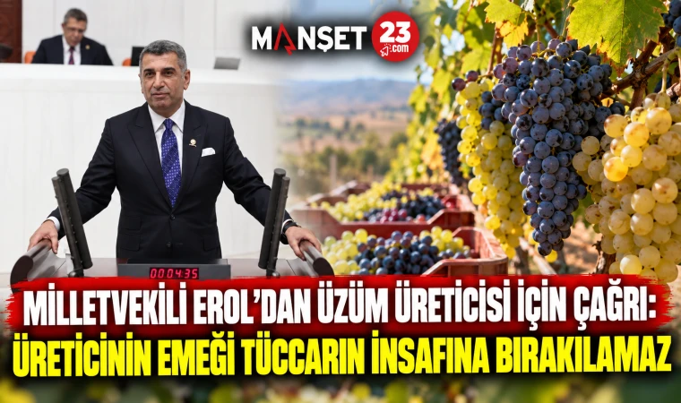 MİLLETVEKİLİ EROL’DAN ÜZÜM ÜRETİCİSİ İÇİN ÇAĞRI: ÜRETİCİNİN EMEĞİ TÜCCARIN İNSAFINA BIRAKILAMAZ
