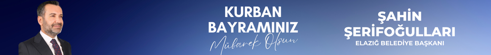 ŞAHİN