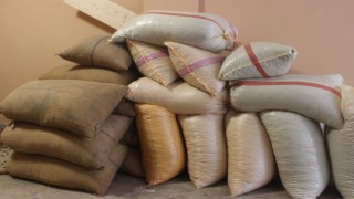 Giresundan Eylül ayı içerisinde 33 bin 471 ton fındık ihraç edildi