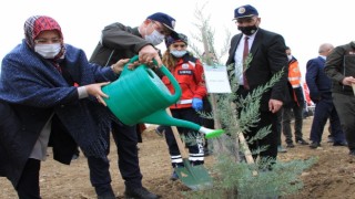 Elazığda 223 bin fidan toprakla buluşuyor, ilk fidanlar dikildi