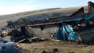 Elektrik kontağından çıkan yangın, 12 hayvanı telef etti