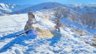 Komandolar, doğaya yem bıraktı