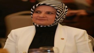 Milletvekili Sermin Balıkın Covid-19 testi pozitif çıktı