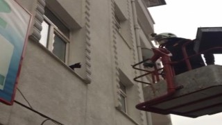 Pencere önünde mahsur kalan kediyi itfaiye kurtardı