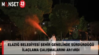 Elazığ Belediyesi şehir genelinde sürdürdüğü ilaçlama çalışmalarını artırdı