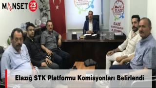 Elazığ STK Platformu Komisyonları Belirlendi