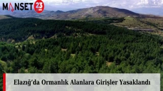Elazığ’da Ormanlık Alanlara Girişler Yasaklandı