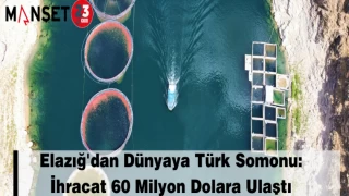 Elazığ'dan Dünyaya Türk Somonu: İhracat 60 Milyon Dolara Ulaştı