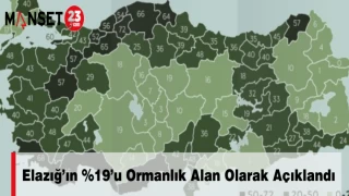 Elazığ’ın %19’u Ormanlık Alan Olarak Açıklandı