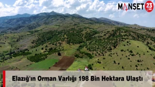 Elazığ'ın Orman Varlığı 198 Bin Hektara Ulaştı