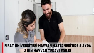 Fırat Üniversitesi Hayvan Hastanesi'nde 5 Ayda 3 Bin Hayvan Tedavi Edildi
