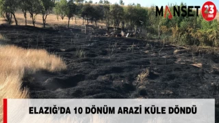 Elazığ’da 10 Dönüm Arazi Küle Döndü