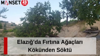 Elazığ’da Fırtına Ağaçları Kökünden Söktü