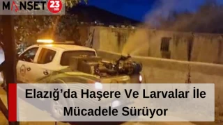 Elazığ’da Haşere Ve Larvalar İle Mücadele Sürüyor