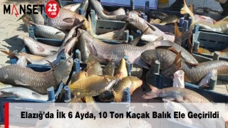 Elazığ’da İlk 6 Ayda, 10 Ton Kaçak Balık Ele Geçirildi
