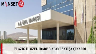 Elazığ İl Özel İdare 3 Alanı Satışa Çıkardı