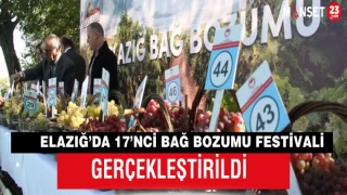 Elazığ’da 17’nci Bağ Bozumu Festivali Gerçekleştirildi