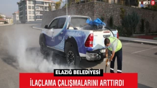 Elazığ Belediyesi, İlaçlama Çalışmalarını Arttırdı