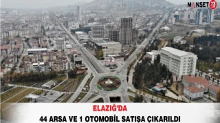 Elazığ’da 44 Arsa ve 1 Otomobil Satışa Çıkarıldı