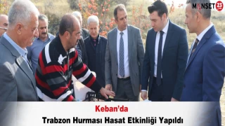 Keban’da Trabzon Hurması Hasat Etkinliği Yapıldı