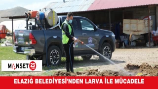 Elazığ Belediyesi’nden Larva İle Mücadele