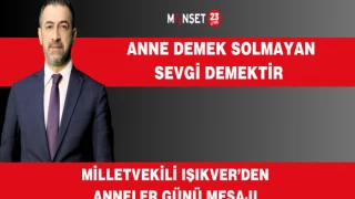 MİLLETVEKİLİ IŞIKVER'DEN ANNELER GÜNÜ MESAJI
