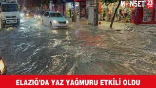 Elazığ’da Yaz Yağmuru Etkili Oldu