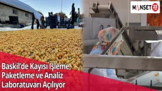 Baskil’de Kayısı İşleme, Paketleme ve Analiz Laboratuvarı Açılıyor